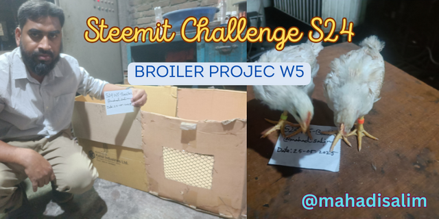 Steemit Challenge S24 w5.png