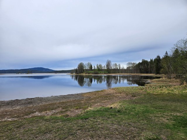 20250429_181543.jpg