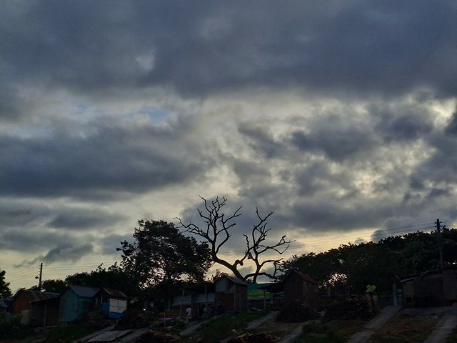 20250725_181559.jpg