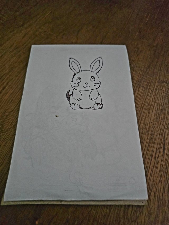 1000021336.jpg