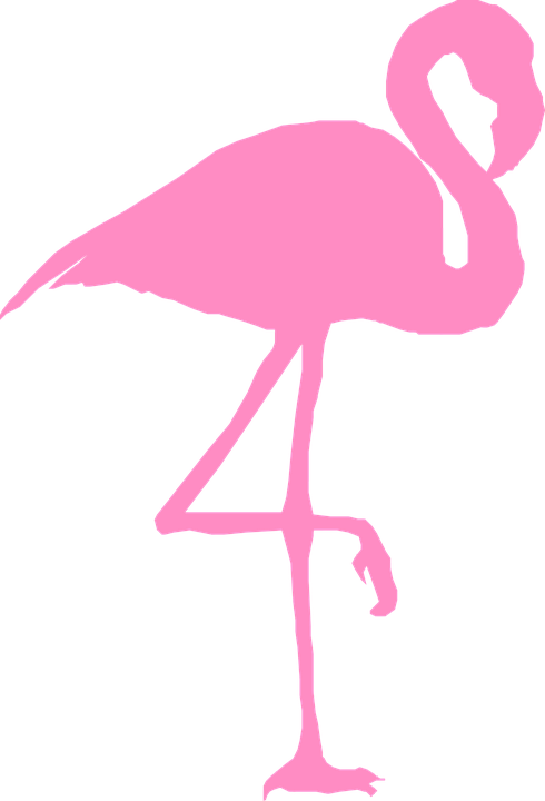 flamingo-310950_960_720.png