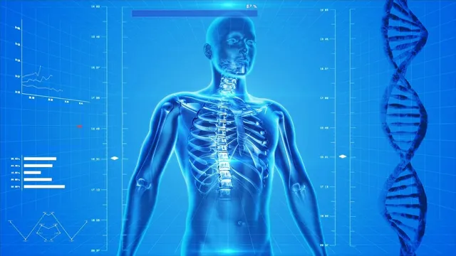 human-skeleton-163715_1280.webp