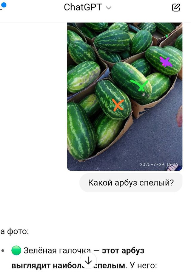 media_1.jpg