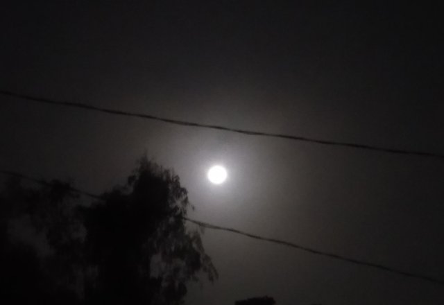 IMG_20201104_135310.jpg