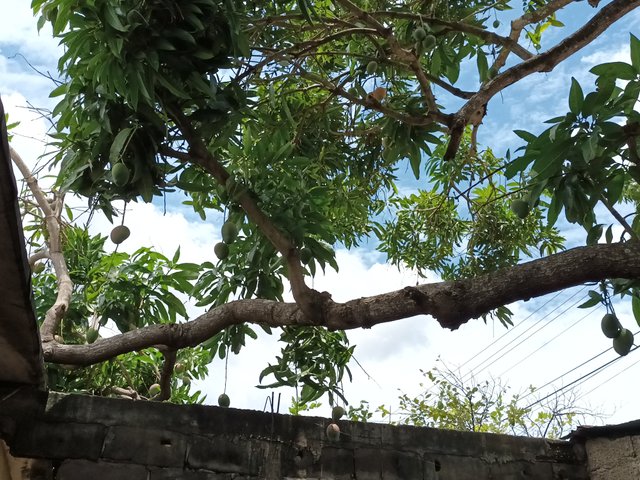 20230425_125108.jpg