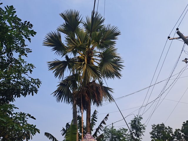 1000044280.jpg