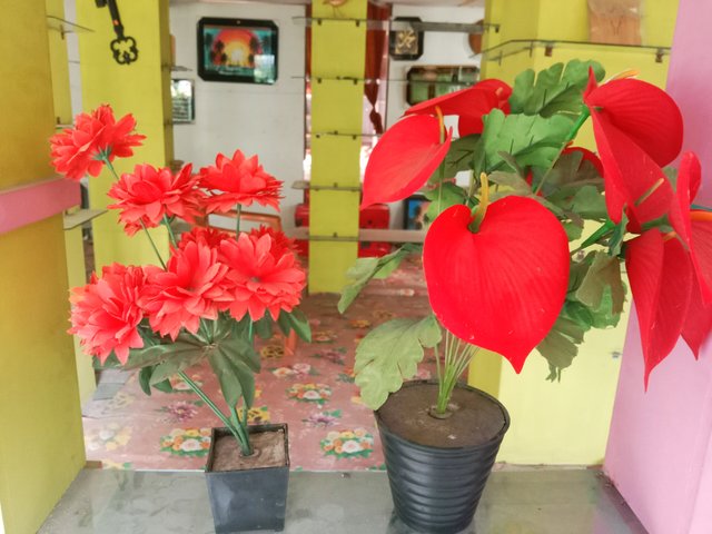 IMG_20250714_084447.jpg