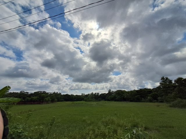 20250622_150828.jpg