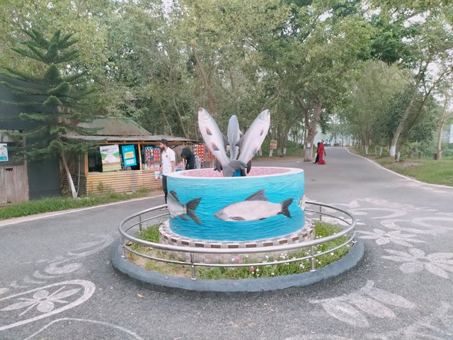 IMG20240530111223.jpg