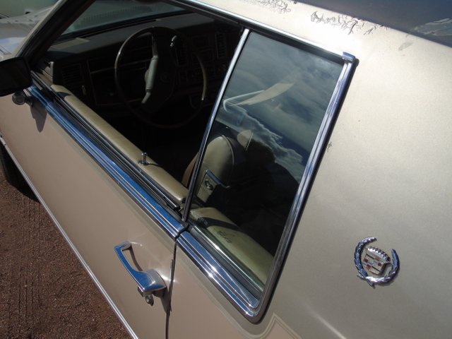 1111cadillac (5).JPG