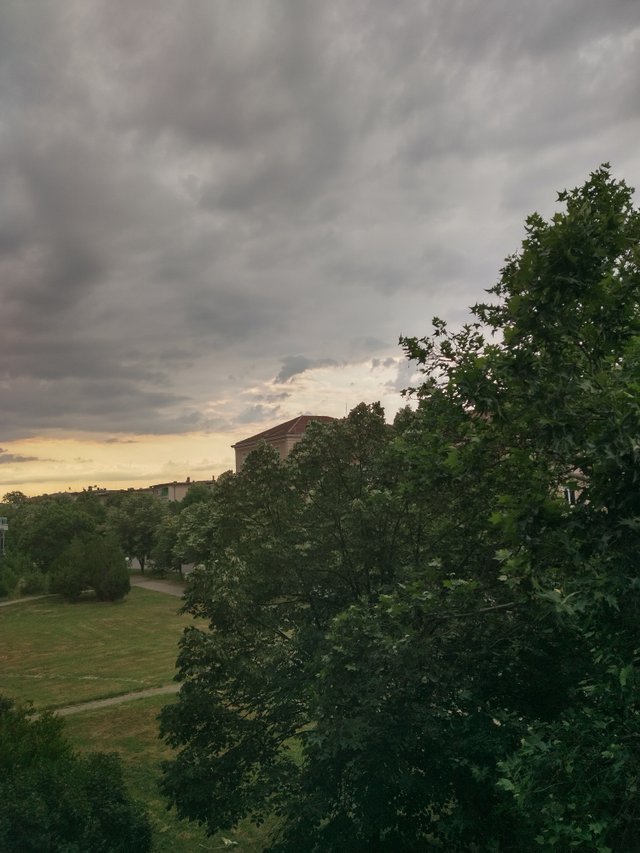 IMG_20250615_071530_HDR.jpg
