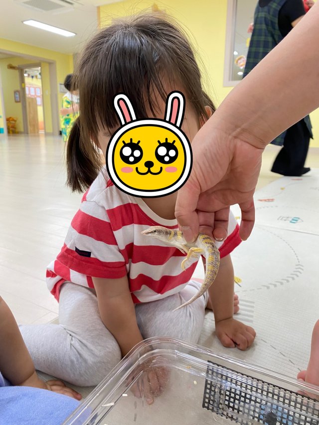 KakaoTalk_Photo_2025-06-13-23-15-11 004.jpeg