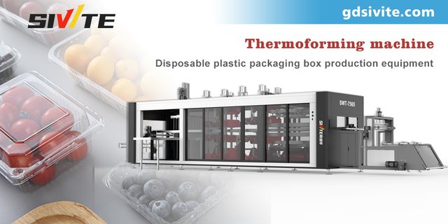 SIVITE-Thermoforming-Machine-Equipment-Manufacturer.jpg