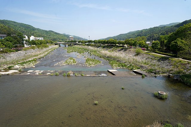b-DSC00985.JPG