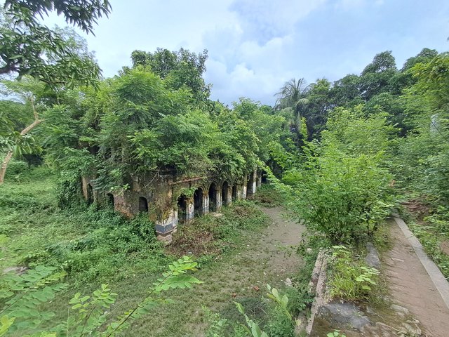1000193007.jpg