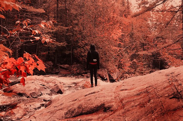 she-is-red.jpg