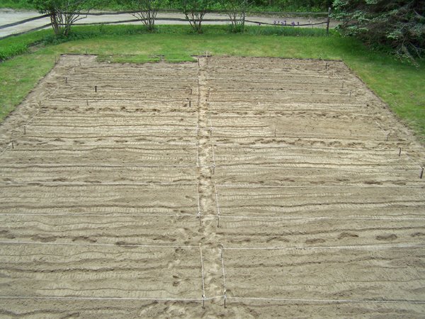 New Herb garden - Day 7 beds laid out2 crop May 2016.jpg