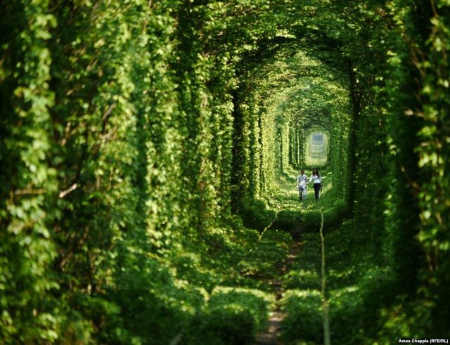 tunnel-of-love-klevan-110.jpg