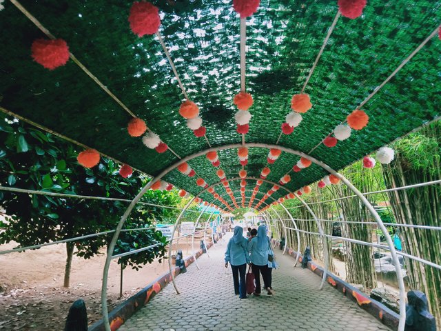 IMG20250417142345.jpg