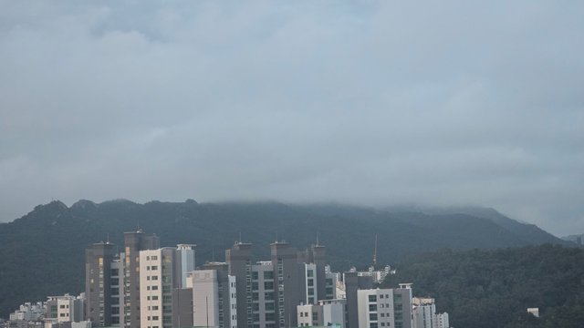 1000138190.jpg