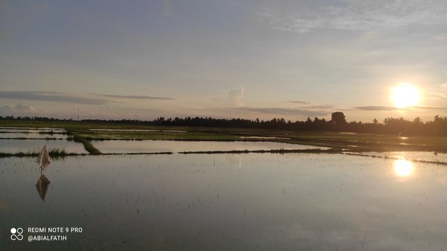 IMG_20250806_065136.jpg
