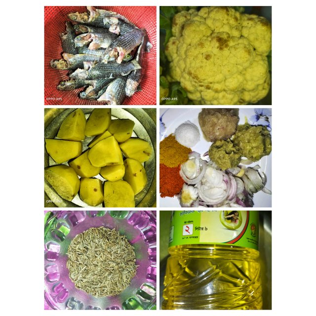 PhotoCollage_1747986595483.jpg