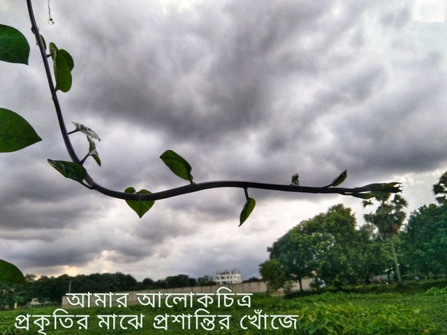 আমার আলোকচিত্র প্রকৃতির মাঝে প্রশান্তির খোঁজে.jpg