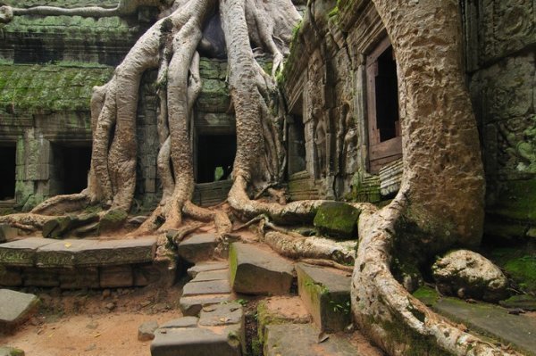 3287857-Nature-s-triumph--Ta-Prohm-Siem-Reap-Cambodia-3.jpg