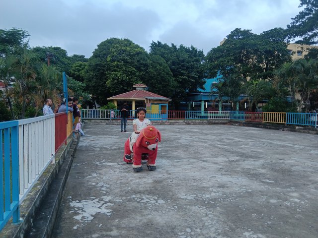 1000036460.jpg