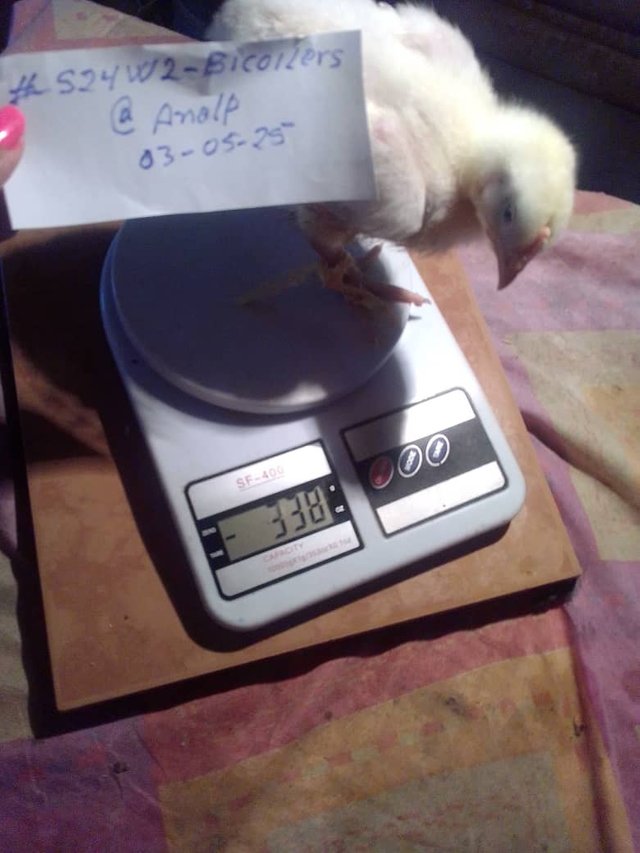 1000004773.jpg