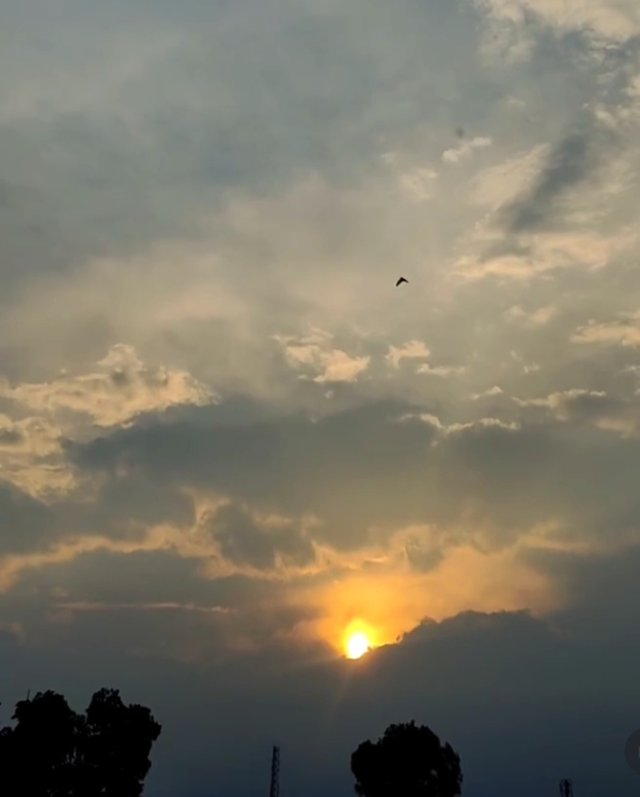 1749883354342.jpg