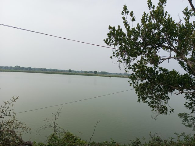 IMG_20250421_170321_407.jpg