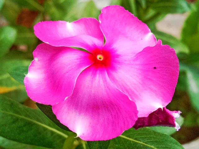 IMG_20250512_192358.jpg