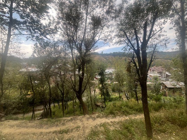 IMG_5068.jpeg