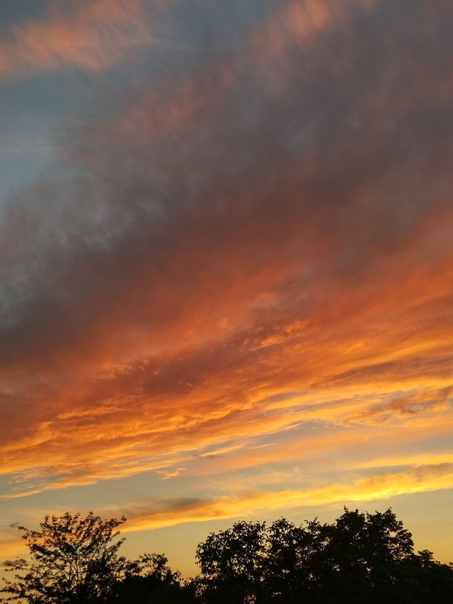 IMG_20230808_203308_HDR.jpg