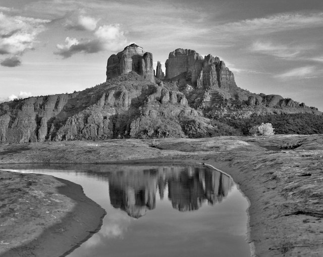 peaceful reflection 8x10 bw.jpg