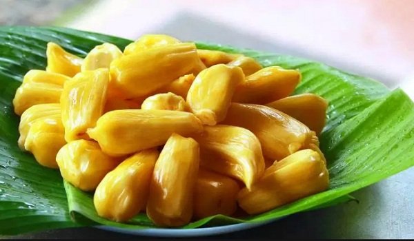 Jackfruit.jpg