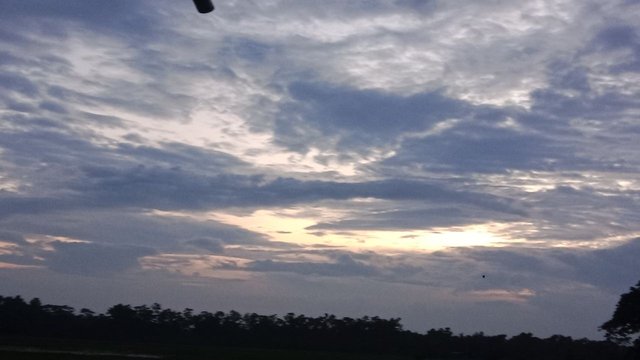 IMG_20250821_071338_607.jpg