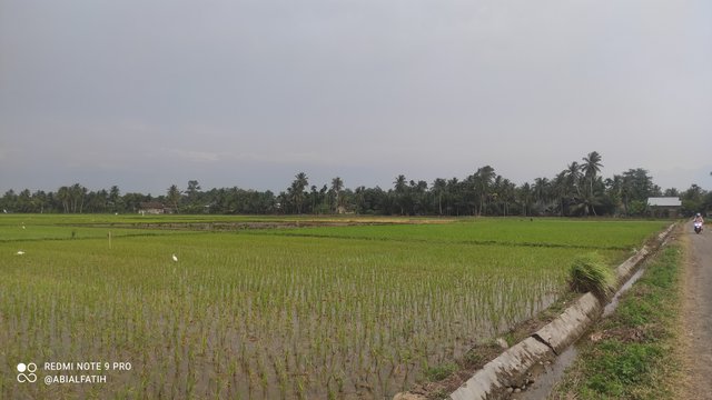 IMG_20250706_175502.jpg