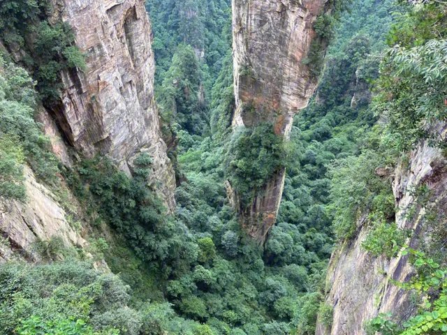 src=http___safe-img.xhscdn.com_bw_d95c37fe-f3e1-4b4d-b559-37cb077b7fc4_imageView2_2_w_1080_format_jpg&refer=http___safe-img.xhscdn.webp.jpg