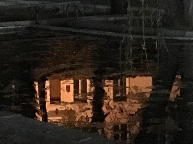 IMG_0411.JPG
