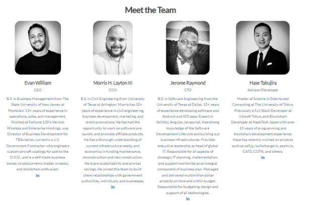 Terawatt-ICO-CEO-Team.png