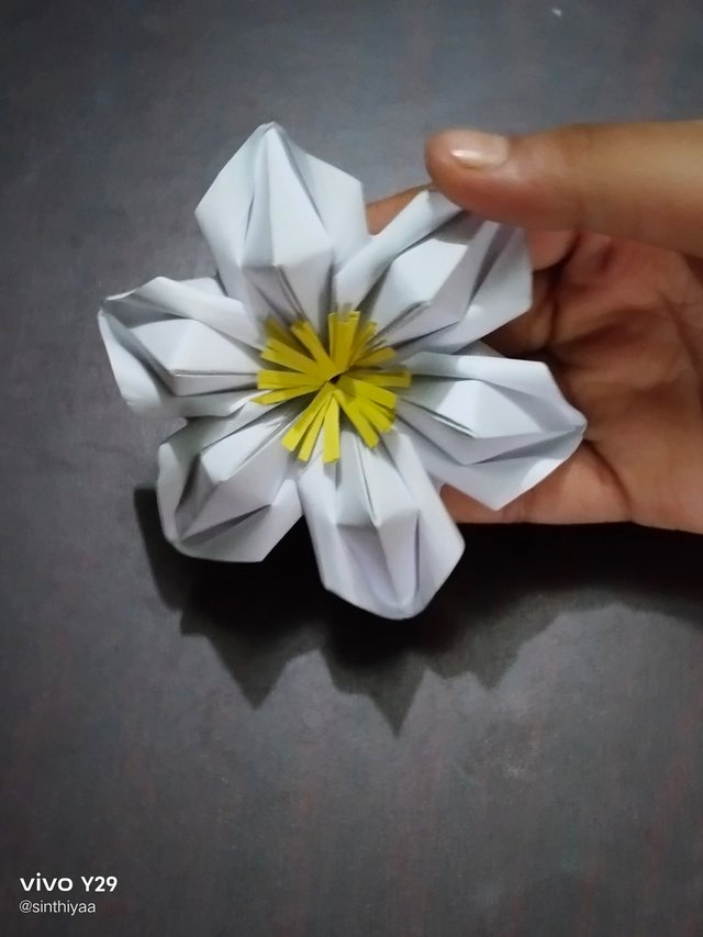 1000016796.jpg