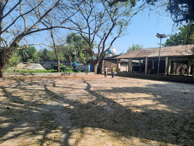 20250307_135548.jpg