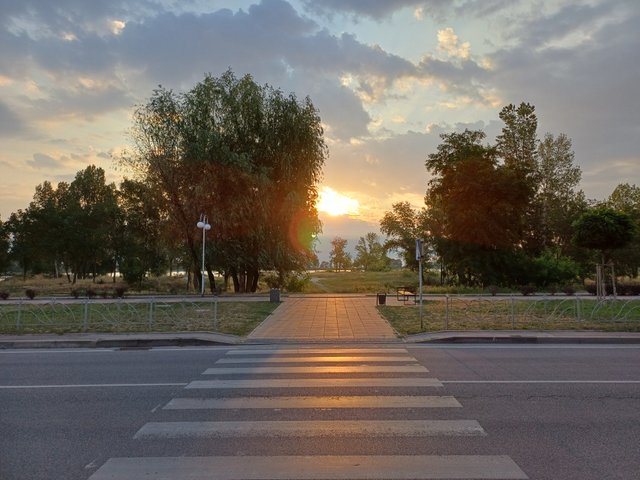 20250811_062540.jpg