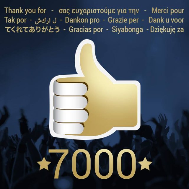 7000.jpg