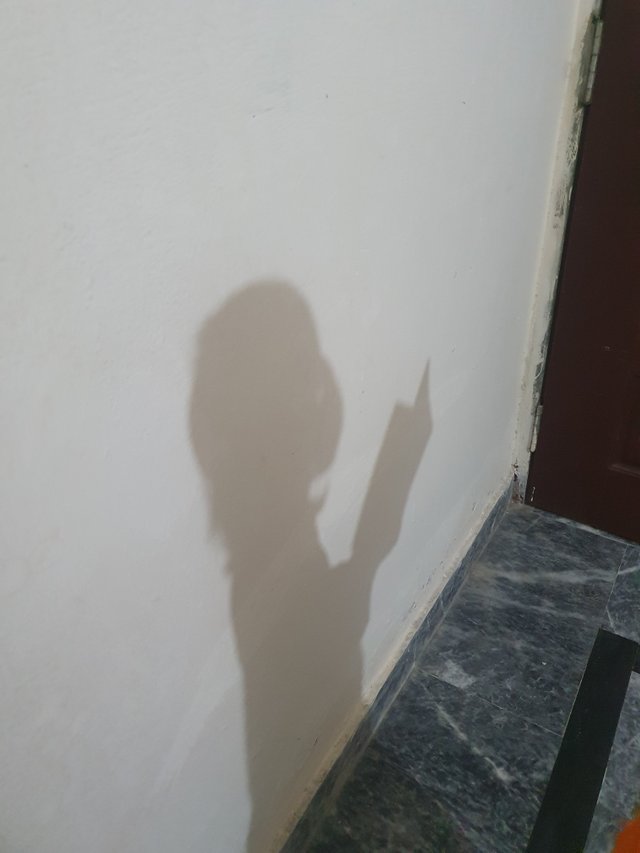 20250708_131145.jpg