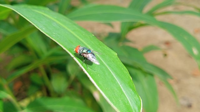 IMG20250531101756.jpg