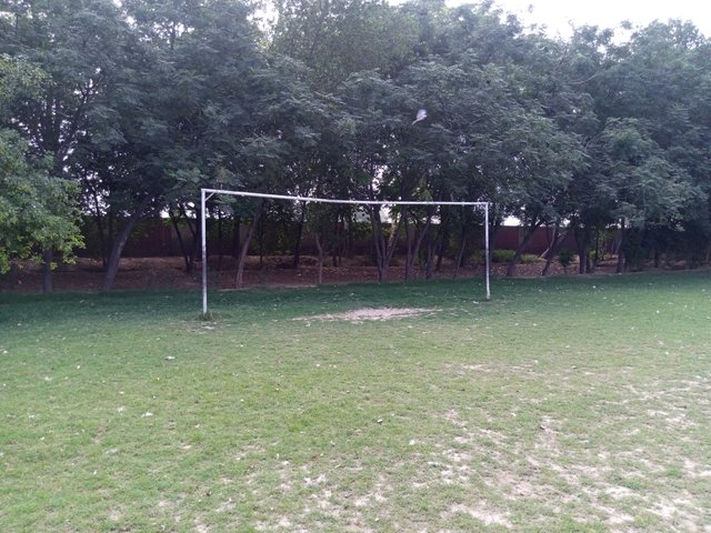 football ground 2.jpg