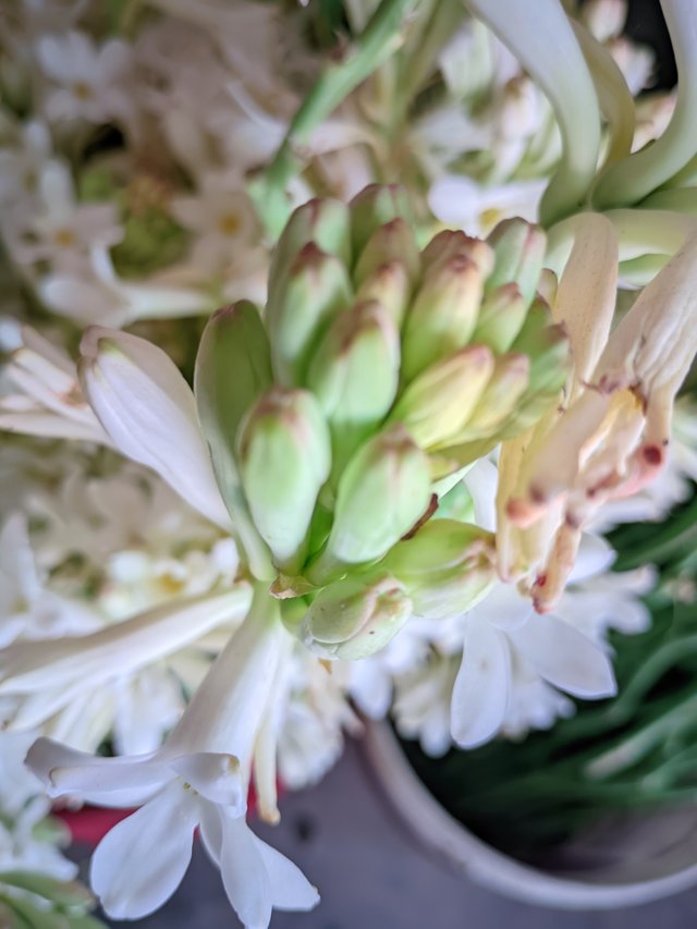 RIYAN_20230603_123351_👫Vivid Color .jpg